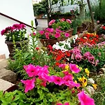 Appartement Dolac *