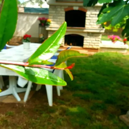 Apartment Dolac