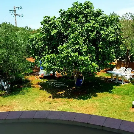 Apartment Dolac *