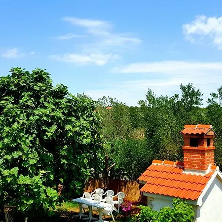 Apartment Dolac