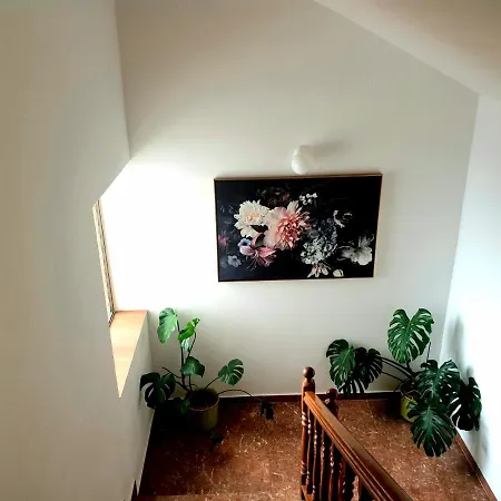 Apartment Dolac *