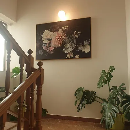Apartment Dolac *