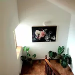 아파트 Dolac *
