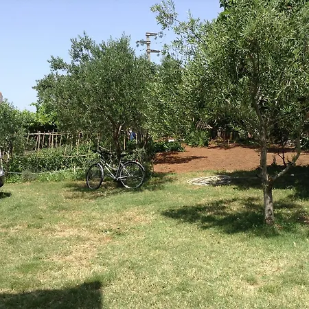 Apartman Dolac